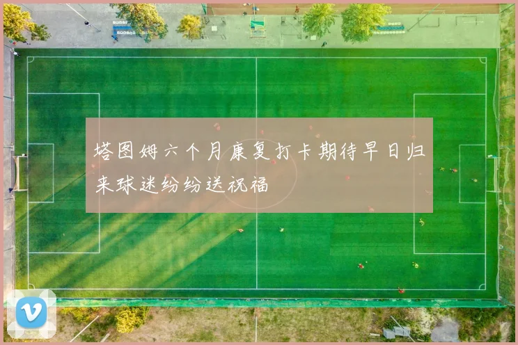 塔图姆六个月康复打卡期待早日归来球迷纷纷送祝福